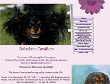 Tablet Screenshot of daisylanecavaliers.com